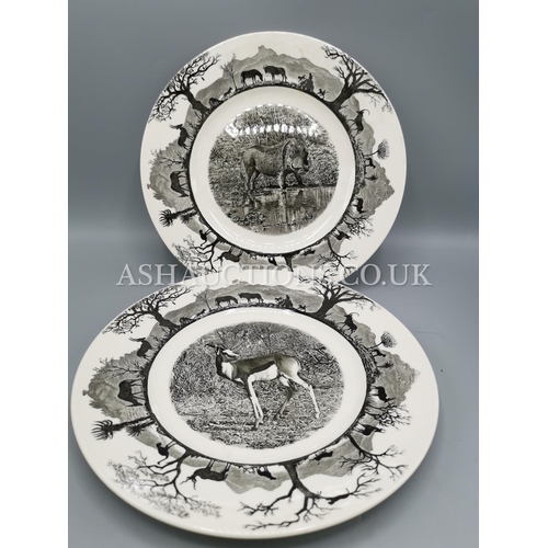 856 - WEDGWOOD CHINA 