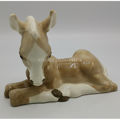 Lot 537       