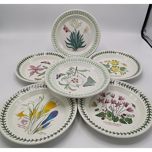 525 - PORTMEIRION 15cm Dia PLATES (6) IN THE BOTANIC GARDEN DESIGN