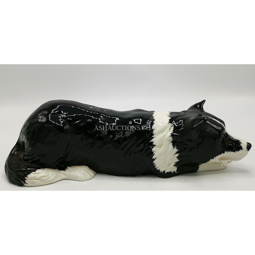 540 - JUST CATS & Co Large 37cm Long MODEL OF A BORDER COLLIE