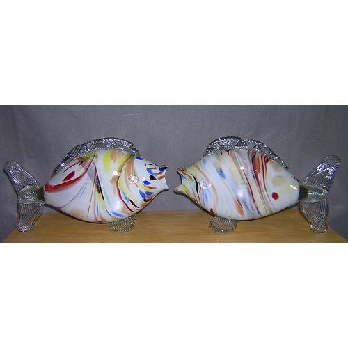 798 - GLASS FISH (2)