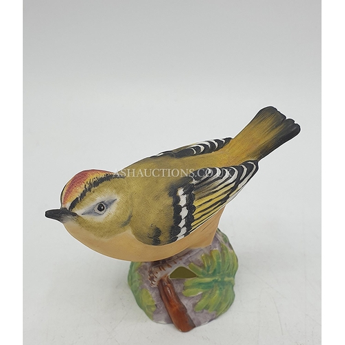 1117 - ROYAL WORCESTER 5.7cm MODEL OF A GOLDCREST  RW 3338 1941/86 Designed By Eva Soper FOR THE BRITISH BI... 