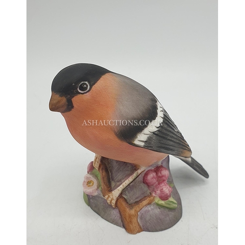 1123 - ROYAL WORCESTER 7.6cm MODEL OF A BULLFINCH  RW 3238 1938/86 Designed By Eva Soper FOR THE BRITISH BI... 