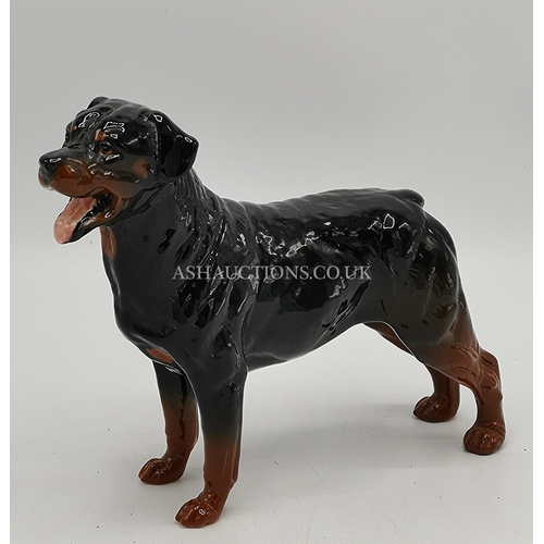 1168 - ROYAL DOULTON 13.3cm MODEL OF ROTTWEILER  DA 99 (Beswick Model No 3056) 1990/99  (Brown/Black Gloss ... 