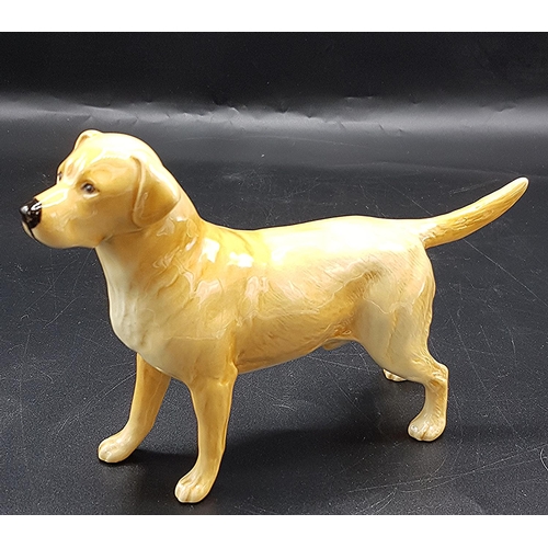 479 - BESWICK MODEL Large 14cm MODEL OF A LABRADOR 