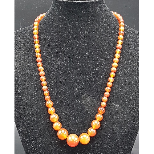 605 - AMBER NECKLACE (Old)