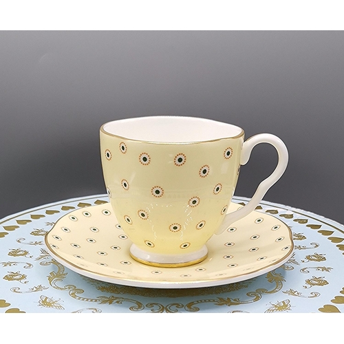 729 - WEDGWOOD CHINA CUP & SAUCER IN THE POLKA DOT DESIGN (Original Box)