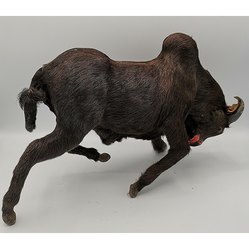 122 - LEATHER Large 28cm x 20cm MODEL OF A BULL