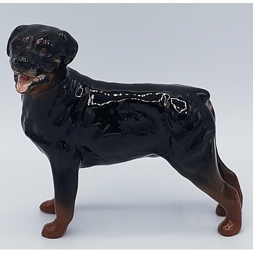 674 - BESWICK 8.9cm MODEL OF A ROTTWEILER (Standing) Model No 3260 (Black/Tan Gloss Colourway) 1991/98 Des... 