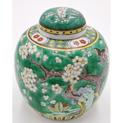 301 - PORCELAIN CHINESE (Early 20th Century) 18cm GINGER JAR & COVER DECORATED WITH BIRDS And APPLE BLOSSO... 