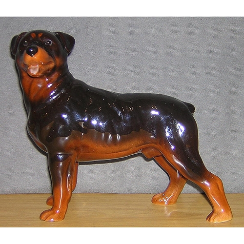 781 - MODEL OF A ROTTWEILER