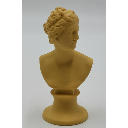 737 - WEDGWOOD JASPER WARE BUSTS