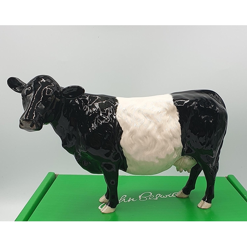 1030 - BESWICK Large 13.3cm MODEL OF A BELTED GALLOWAY COW Model No 4113A (Black/White Gloss Colourway) Des... 