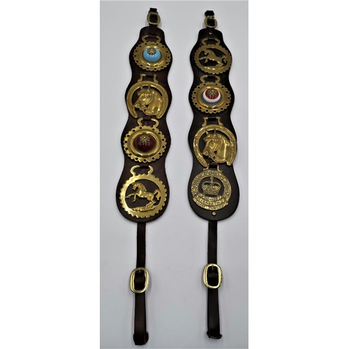 1241 - HORSE BRASSES ON LEATHER