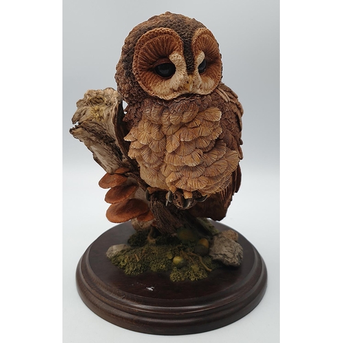 805 - COUNTRY ARTISTS 17cm MODEL OF A TAWNY OWL ON PLYNTH