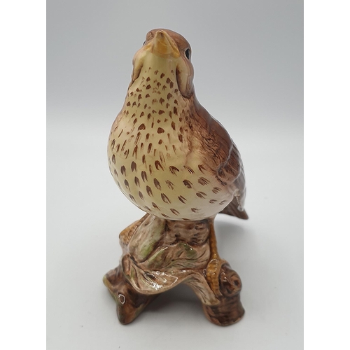 812 - BESWICK Large 14.6cm MODEL OF A SONGTHRUSH Model No 2308 1970/89 Designed By Mr Albert Hallam.
(Char... 