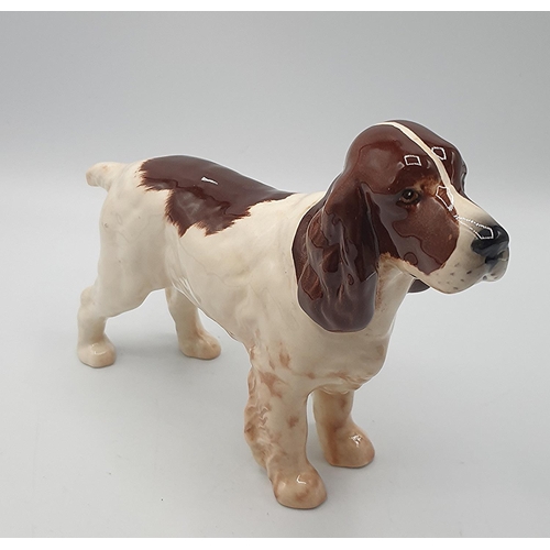 813 - BESWICK MODEL OF A COCKER SPANIEL