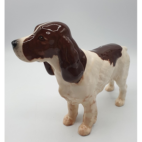 813 - BESWICK MODEL OF A COCKER SPANIEL