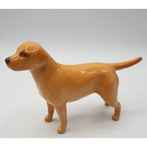 815 - BESWICK Small MODEL OF A LABRADOR (Back Leg Restuck)