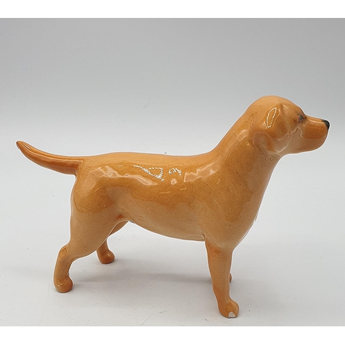 815 - BESWICK Small MODEL OF A LABRADOR (Back Leg Restuck)