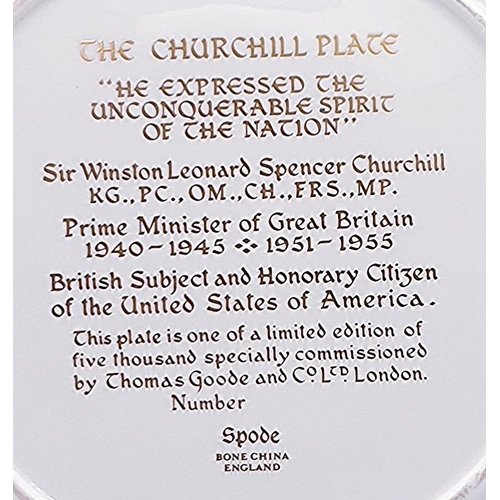 695 - SPODE CHINA 26.5 cm Dia PLATE 'THE CHURCHILL