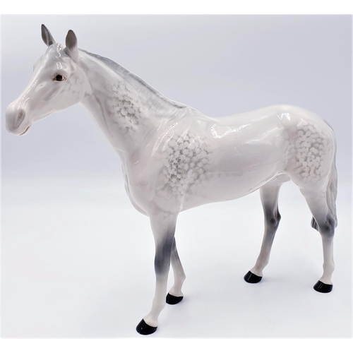 269 - BESWICK Extra Large 28.5cm MODEL OF A Large RACEHORSE (Grey Gloss Colourway) Model No 1564 1959/82 D... 