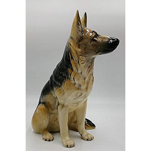 52 - BESWICK Extra Large 35.5cm MODEL OF AN ALSATIAN Model No 2410 (Dark And Sandy Brown-Gloss Colourway)... 