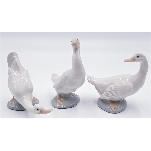 186 - LLADRO (Nao) MODELS OF THREE GEESE/DUCKS