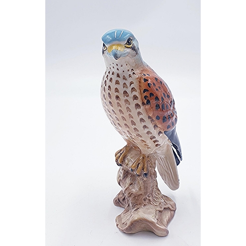 37 - BESWICK 17.2cm MODEL OF A KESTRAL (Model No 2316) (Gloss Colourway) 1970/89 Designed By Mr Graham To... 