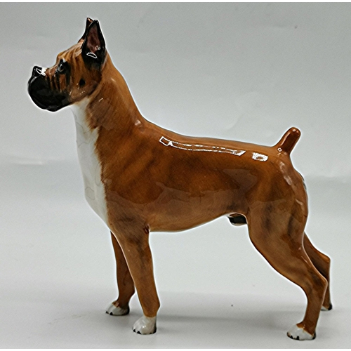 425A - ROYAL DOULTON Large 16.5cm MODEL OF A BOXER DOG 