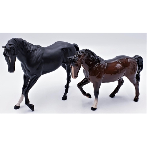 427 - BESWICK BROWN GLOSS HORSE WITH LEG RAISED (Tiny Flea Bite On Ear) PLUS BESWICK  MODEL OF BLACK BEAUT... 