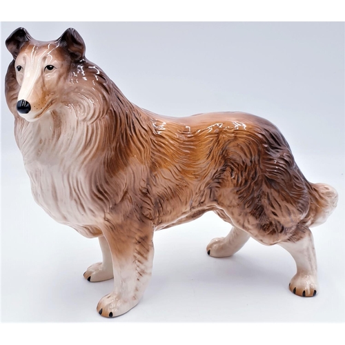 539 - H.WAIN & Sons (Melba Ware) Extra Large  33cm x 28cm MODEL OF A COLLIE DOG c1950s
(Established in 183... 