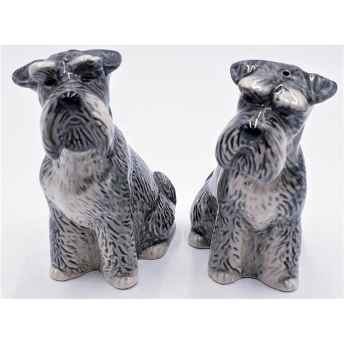 565 - QUAIL POTTERY SALT & PEPPER POTS FASHIONED AS TWO SCHNAUZER DOGS