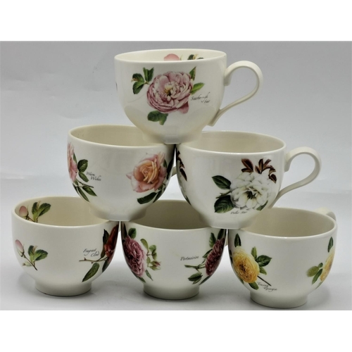 796 - PORTMEIRION CUPS (6) IN THE BOTANIC ROSES DESIGN