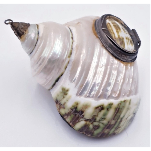 98 - EDWARDIAN SHELL VINAIGRETTE