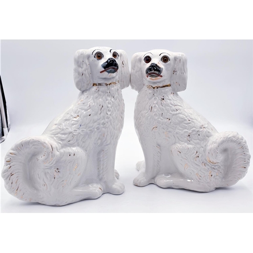 797 - CERAMIC 31cm VICTORIAN/EDWARDIAN GLASS EYED  MANTLE DOGS (Pair)