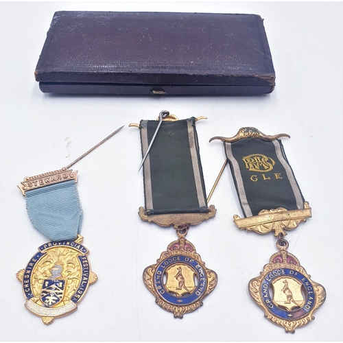 10 - MASONIC ENAMEL BUFFALO MEDALS (3) GRAND LODGE 1926/42 (Named) Plus STEWARD 1951 (Boxed) (Old)