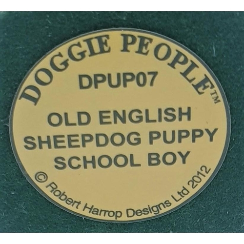 698 - ROBERT HARROP 12.5 cm MODEL OF A SHEEPDOG PUPPY 