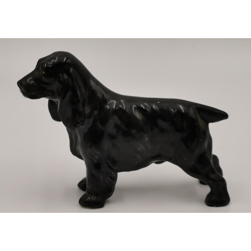 237 - ETONIA CHINA 11cm x 14cm MODEL OF A SETTER/SPANIEL (Black Matt Colourway) c1950s