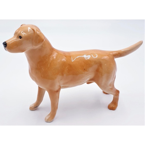 56 - BESWICK MODEL Large 14cm MODEL OF A LABRADOR 