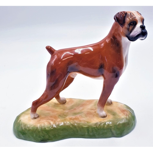 91 - ROYAL STRATFORD 16cm x 17cm MODEL OF A BOXER DOG (Marked 2nds)