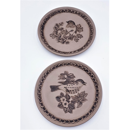 226 - POOLE POTTERY 20.5cm Dia (Limited Edition) PLATES (2) 