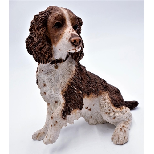 300 - COUNTRY ARTIST 19cm MODEL OF A SPRINGER SPANIEL