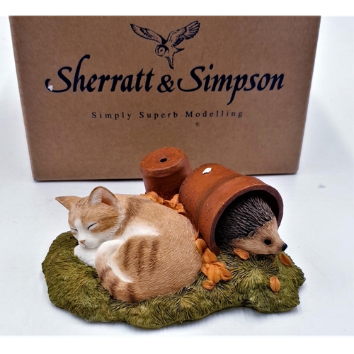 84 - SHERRATT & SIMPSON MODEL OF A KITTEN ASLEEP FLOWER POTS And HEDGEHOG (Model No 55030) (As New,Old St... 