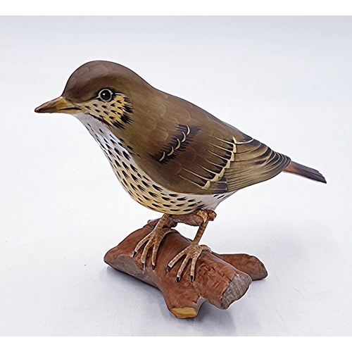 803 - SPODE CHINA Large 14.5cm x 9cm MODEL OF A MISTLE THRUSH