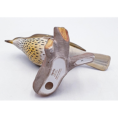 803 - SPODE CHINA Large 14.5cm x 9cm MODEL OF A MISTLE THRUSH