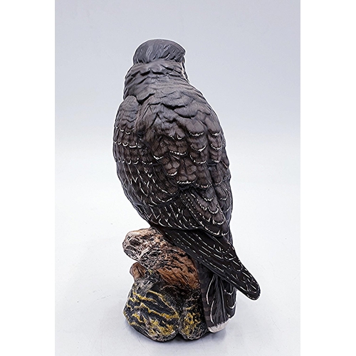 804 - ROYAL DOULTON Large 29.3cm MODEL OF A PEREGRINE FALCON HN 3541 (Model No 3140) 1990 Only (Limited Ed... 