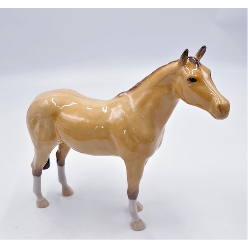 243 - BESWICK 23cm x 18cm MODEL OF A HORSE (Palomino Gloss Colourway)  (Collectors Club Exclusive)   (Orig... 