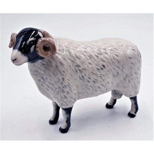 244 - JOHN BESWICK MODEL OF THE SWALEDALE RAM / EWE ? (Original Box)