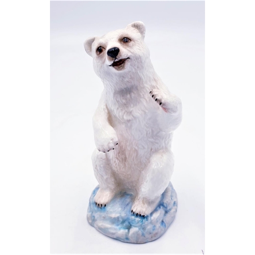 715 - AYNSLEY PORCELAIN MODEL OF AN ARCTIC BEAR (Marked 2nds)